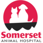 Somerset Animal Hospital