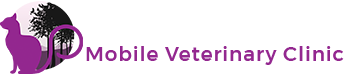 purple cat logo