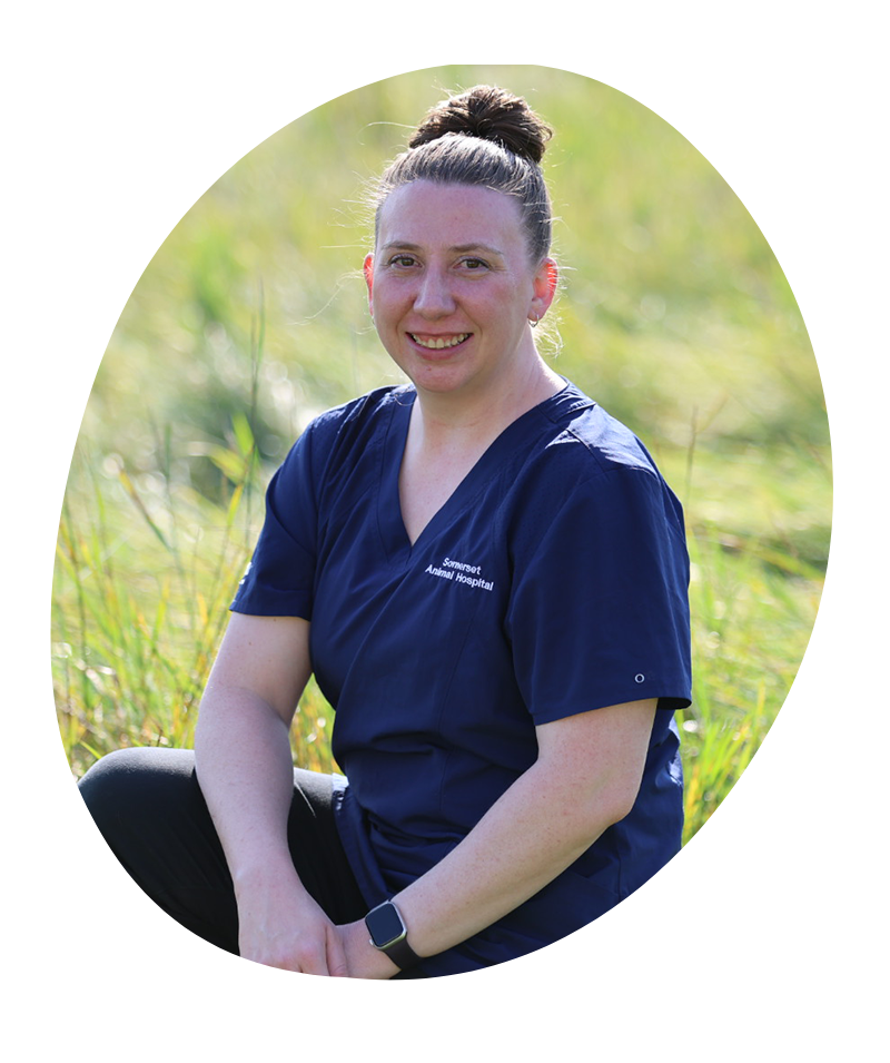 Dr. Sonja Dr. Sonja Wiersma